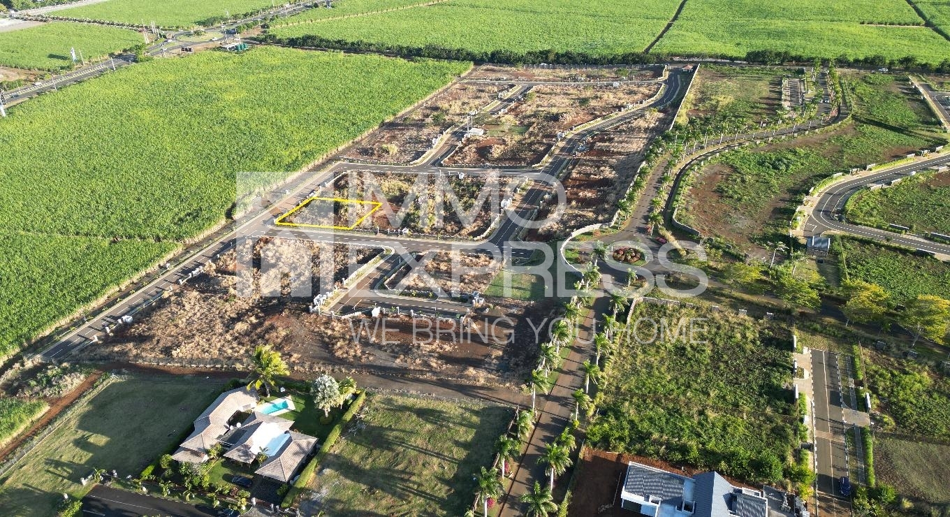 Hillside 2