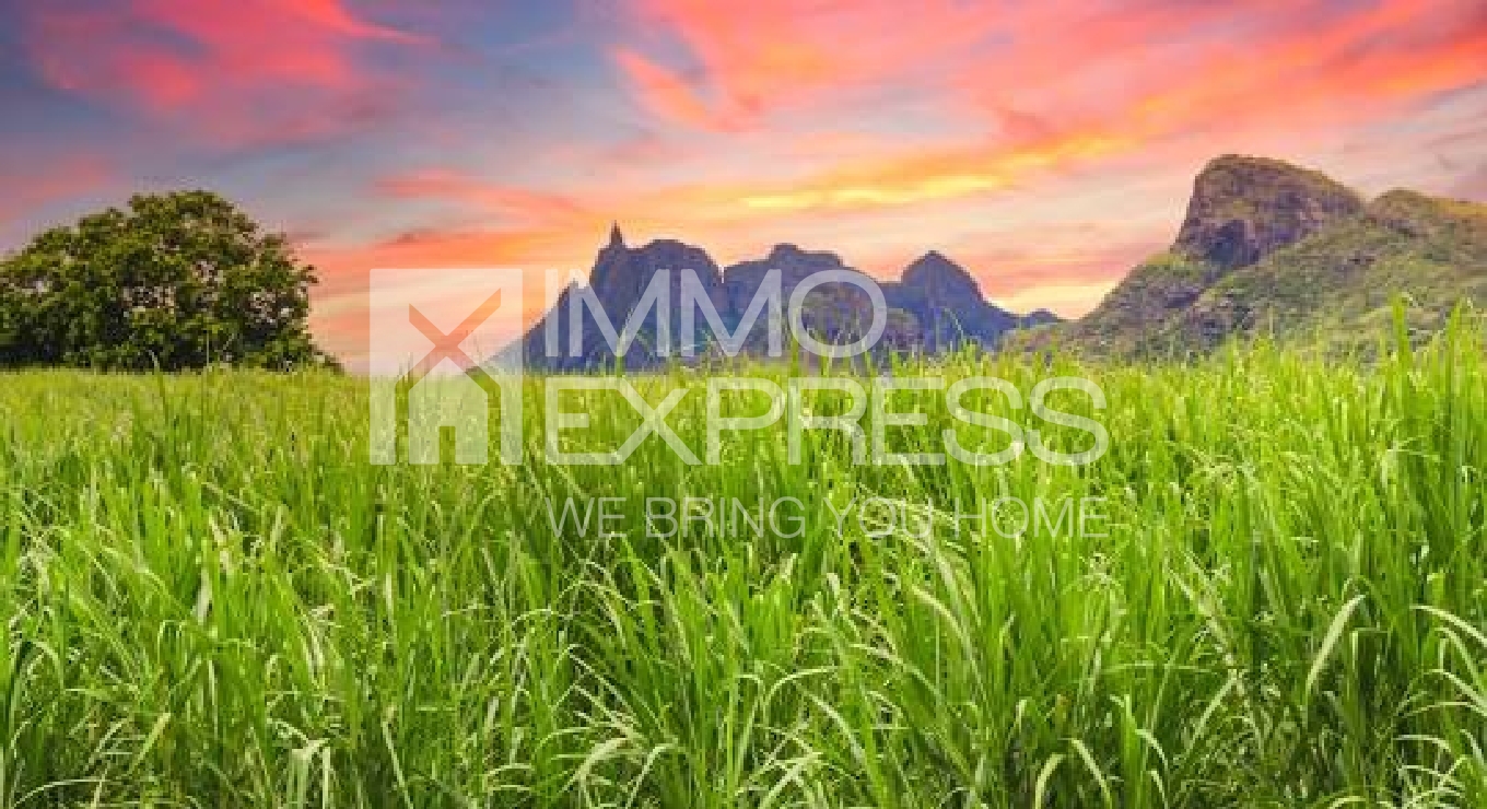 Expansive Plot at the Foot of the Mountain