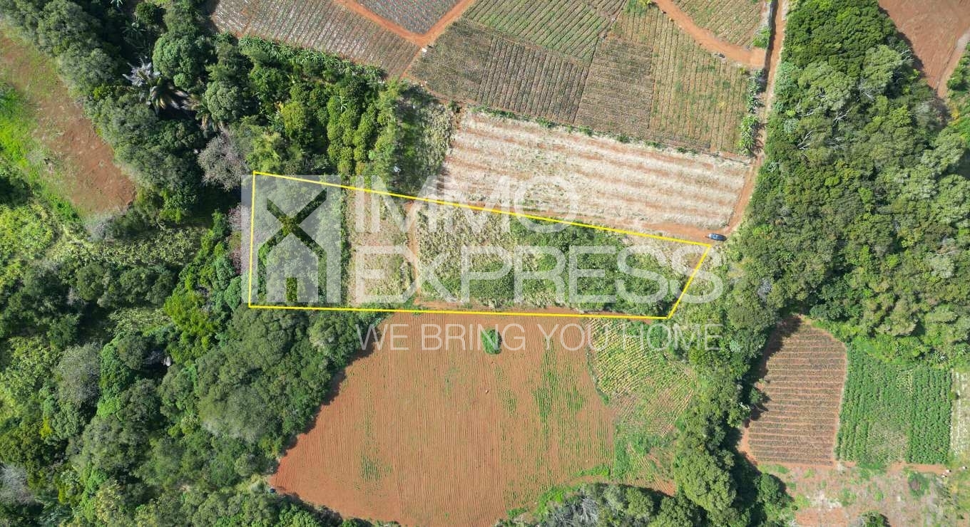 Riverside plot in Congomah