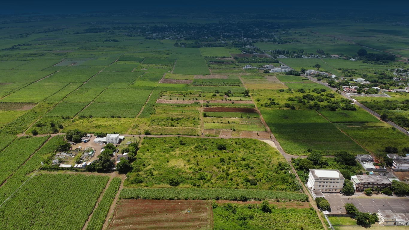 Terrain agricole